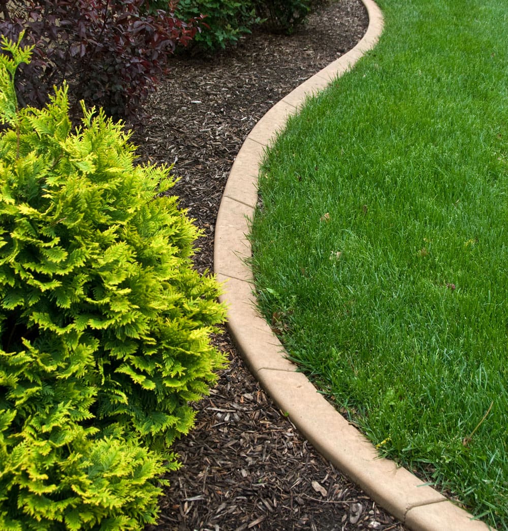 Curbing separating Lawn & Mulch Bed with bushes